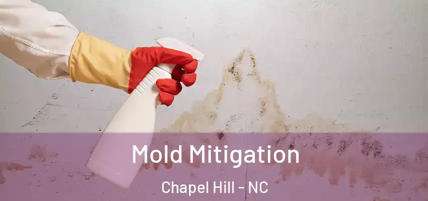  Mold Mitigation Chapel Hill - NC