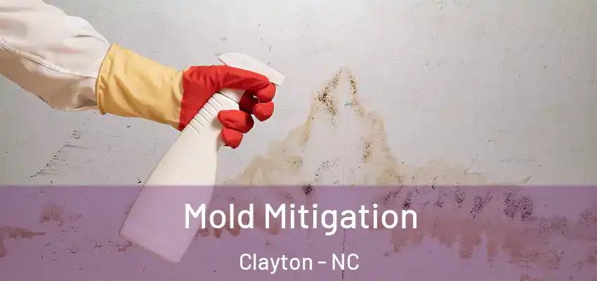 Mold Mitigation Clayton - NC