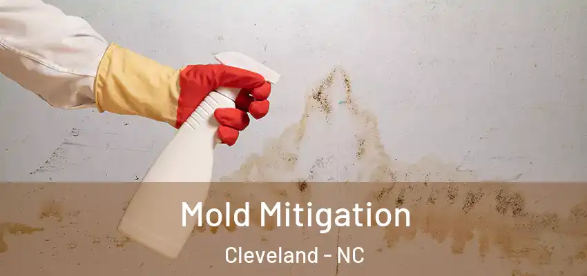 Mold Mitigation Cleveland - NC