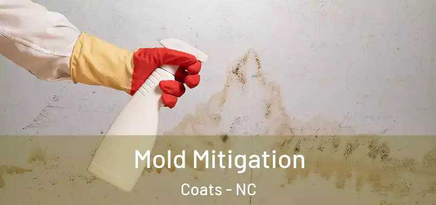  Mold Mitigation Coats - NC