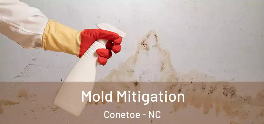  Mold Mitigation Conetoe - NC