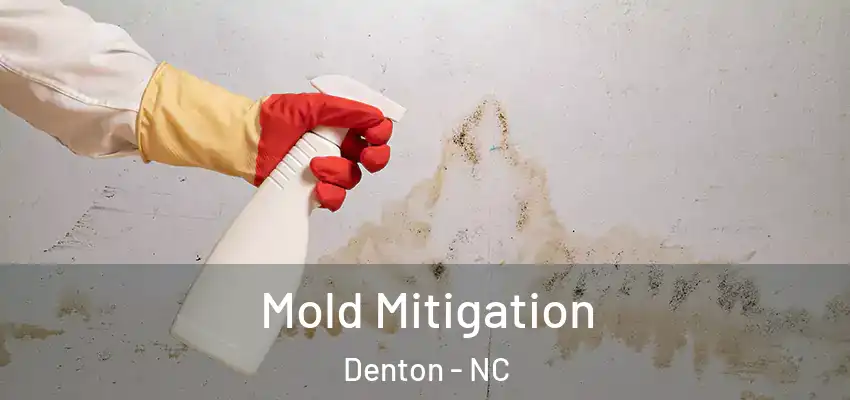  Mold Mitigation Denton - NC