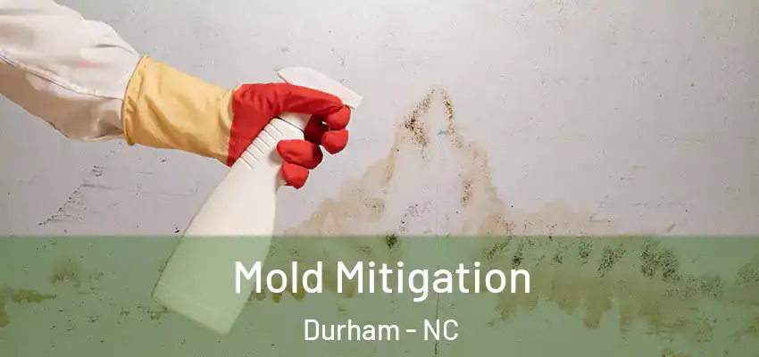  Mold Mitigation Durham - NC