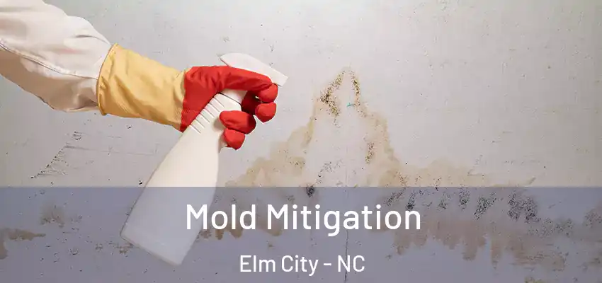  Mold Mitigation Elm City - NC