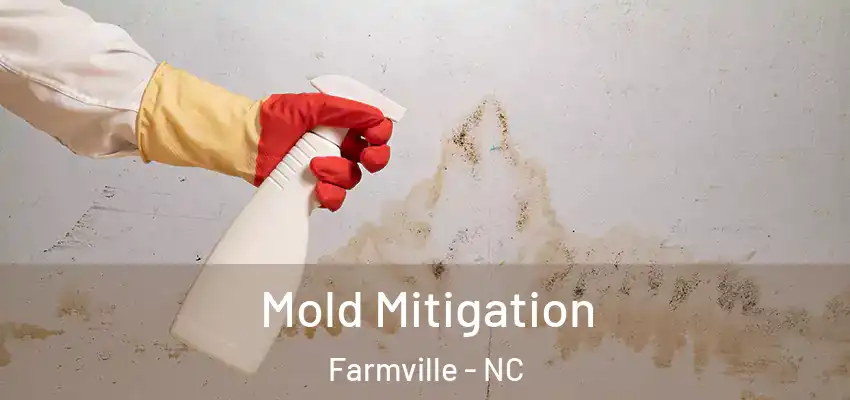  Mold Mitigation Farmville - NC