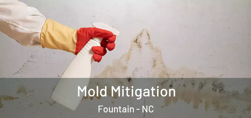 Mold Mitigation Fountain - NC