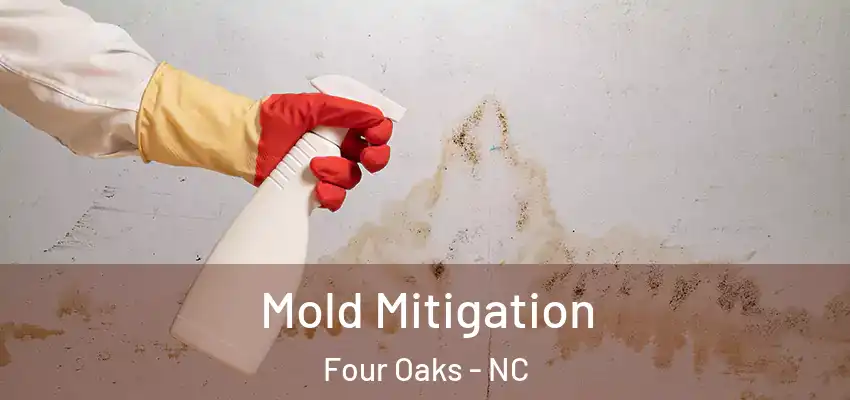  Mold Mitigation Four Oaks - NC