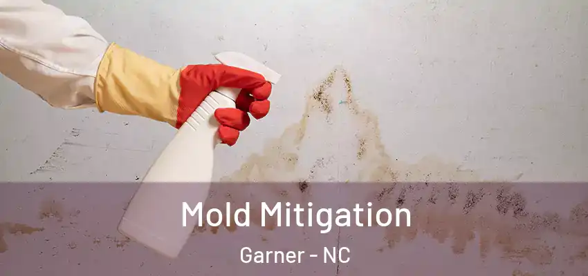  Mold Mitigation Garner - NC