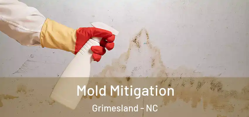  Mold Mitigation Grimesland - NC