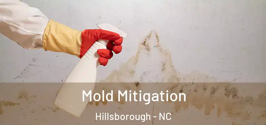  Mold Mitigation Hillsborough - NC