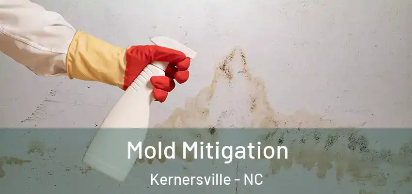  Mold Mitigation Kernersville - NC