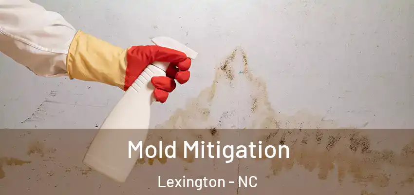Mold Mitigation Lexington - NC