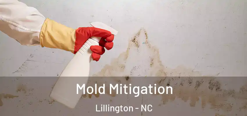 Mold Mitigation Lillington - NC