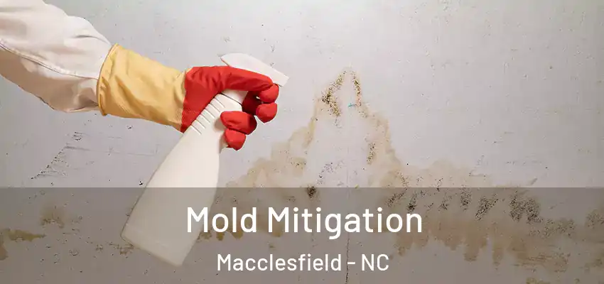  Mold Mitigation Macclesfield - NC