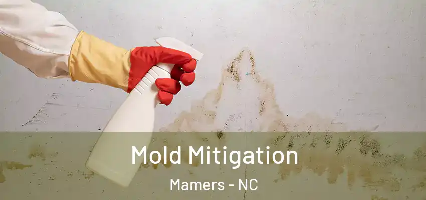 Mold Mitigation Mamers - NC