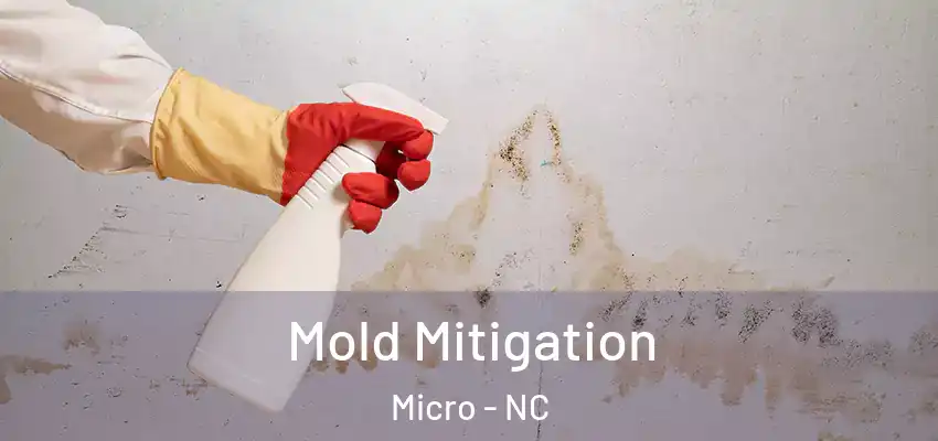 Mold Mitigation Micro - NC