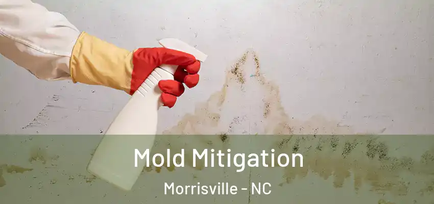  Mold Mitigation Morrisville - NC
