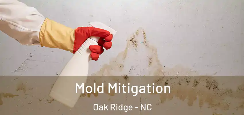  Mold Mitigation Oak Ridge - NC