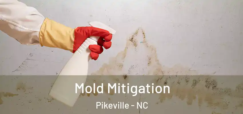 Mold Mitigation Pikeville - NC