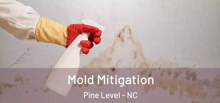  Mold Mitigation Pine Level - NC