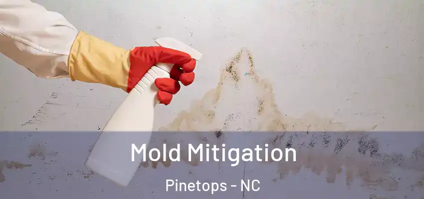  Mold Mitigation Pinetops - NC