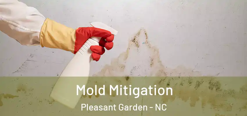  Mold Mitigation Pleasant Garden - NC