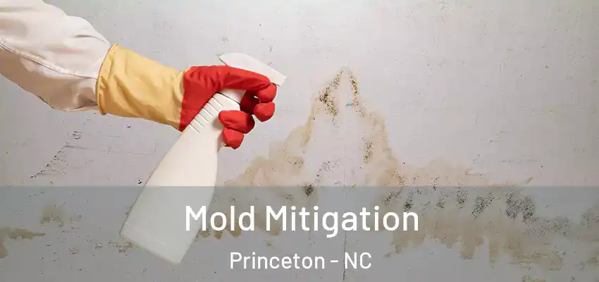  Mold Mitigation Princeton - NC