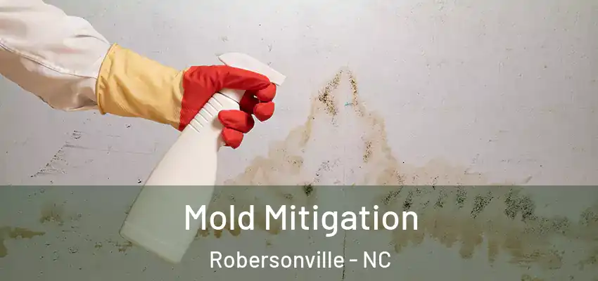  Mold Mitigation Robersonville - NC