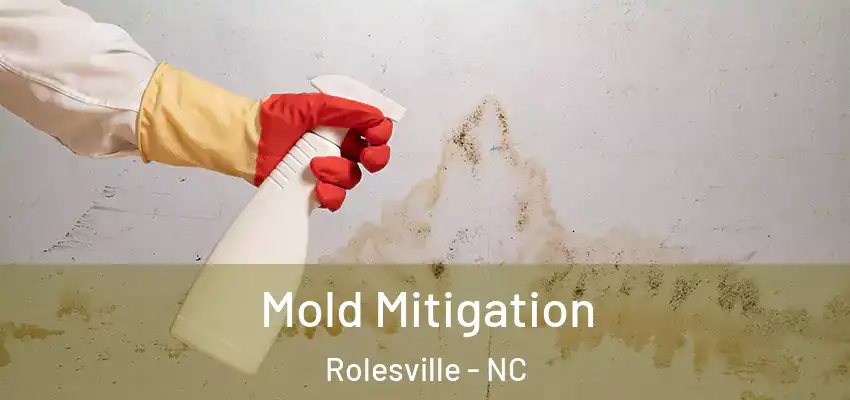 Mold Mitigation Rolesville - NC