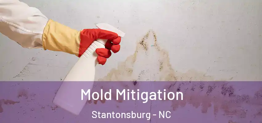  Mold Mitigation Stantonsburg - NC