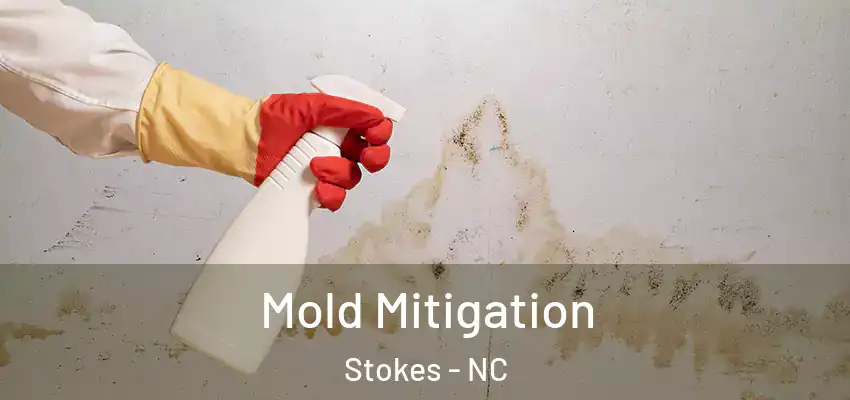  Mold Mitigation Stokes - NC