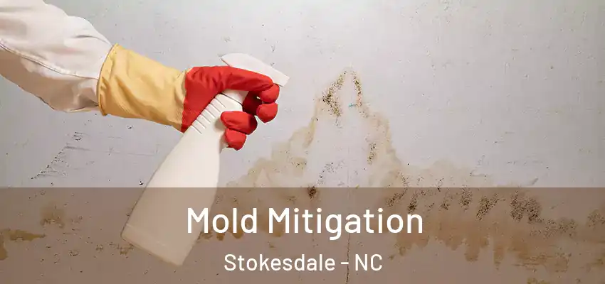  Mold Mitigation Stokesdale - NC
