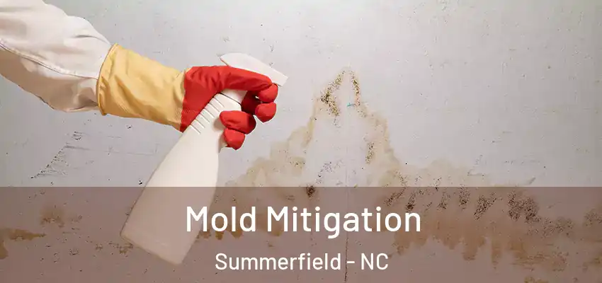  Mold Mitigation Summerfield - NC