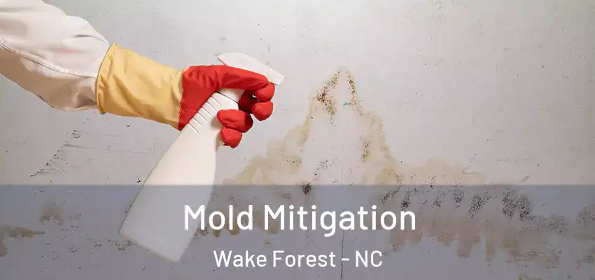  Mold Mitigation Wake Forest - NC