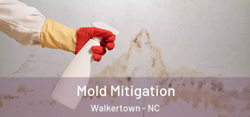  Mold Mitigation Walkertown - NC