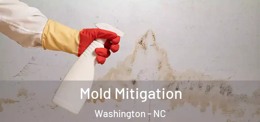  Mold Mitigation Washington - NC