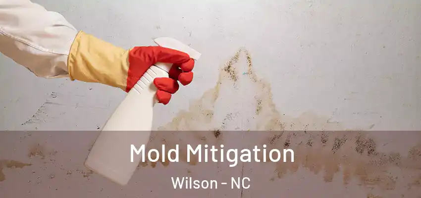  Mold Mitigation Wilson - NC