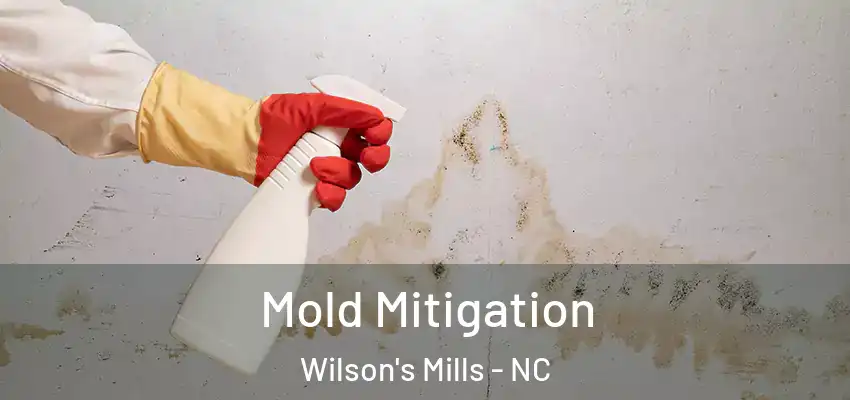 Mold Mitigation Wilson's Mills - NC