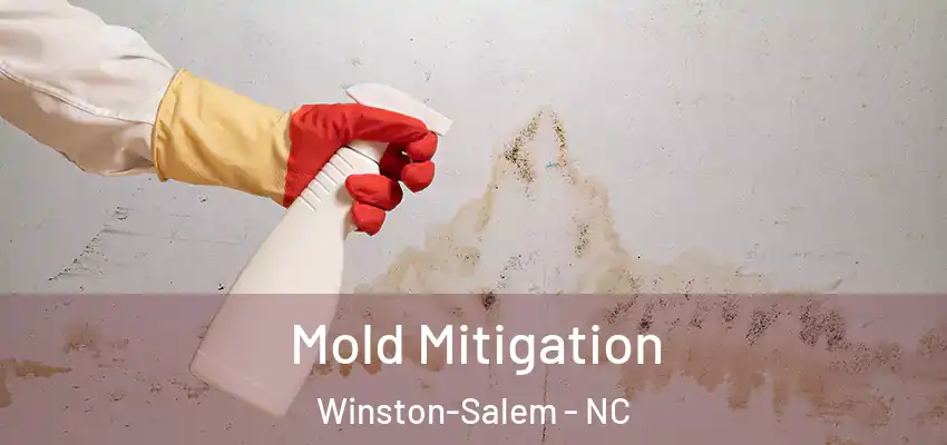  Mold Mitigation Winston-Salem - NC