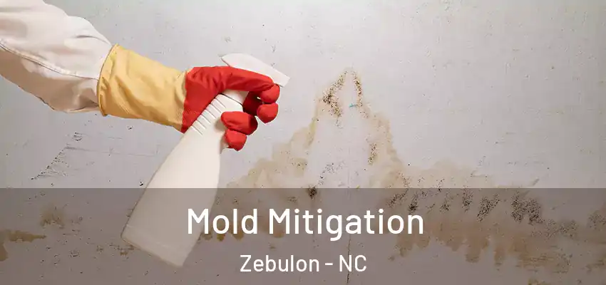  Mold Mitigation Zebulon - NC