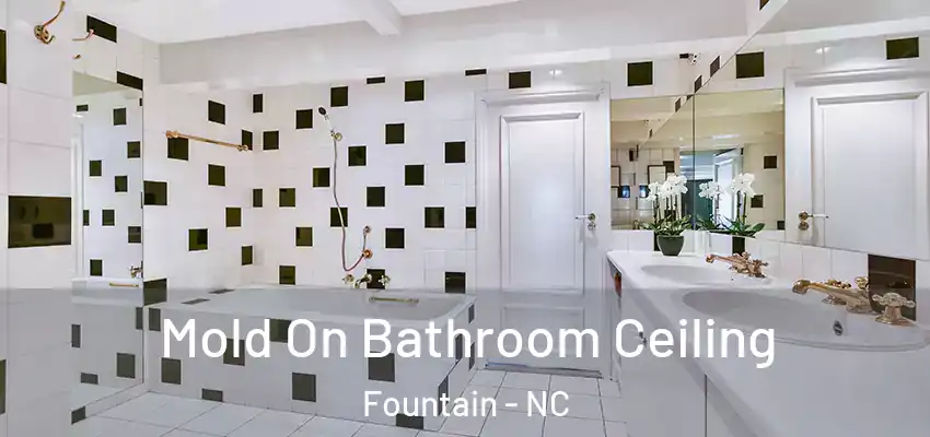  Mold On Bathroom Ceiling Fountain - NC