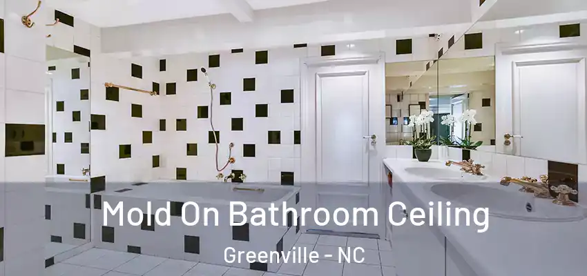 Mold On Bathroom Ceiling Greenville - NC