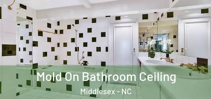  Mold On Bathroom Ceiling Middlesex - NC