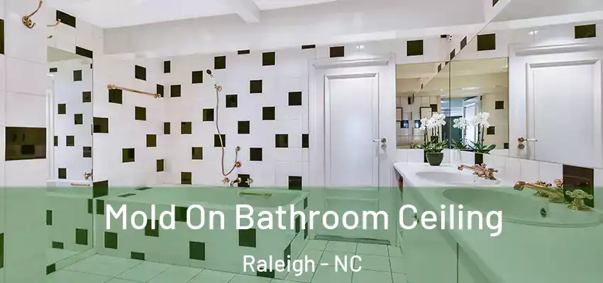  Mold On Bathroom Ceiling Raleigh - NC