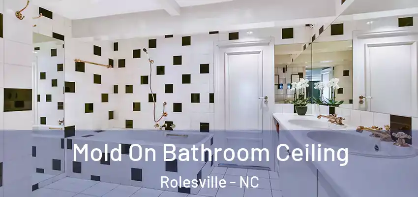 Mold On Bathroom Ceiling Rolesville - NC
