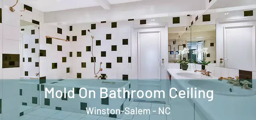 Mold On Bathroom Ceiling Winston-Salem - NC