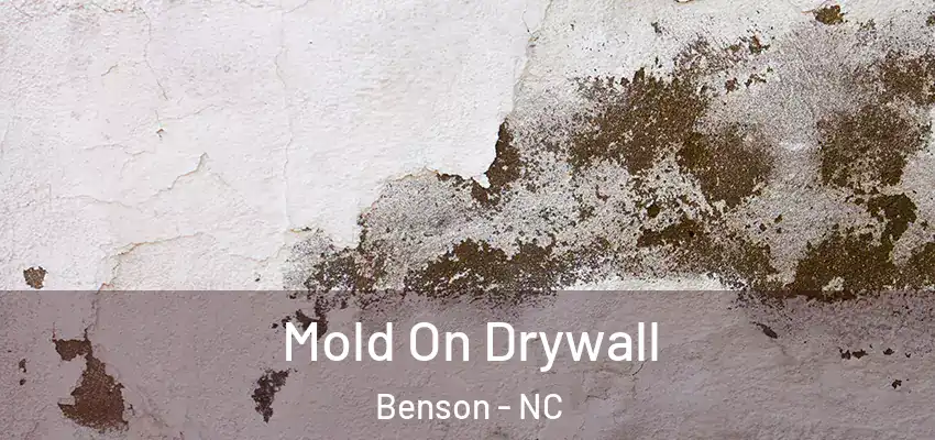  Mold On Drywall Benson - NC