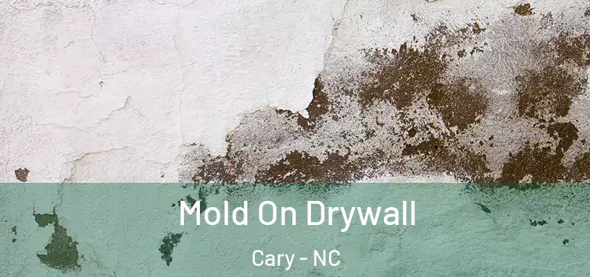  Mold On Drywall Cary - NC