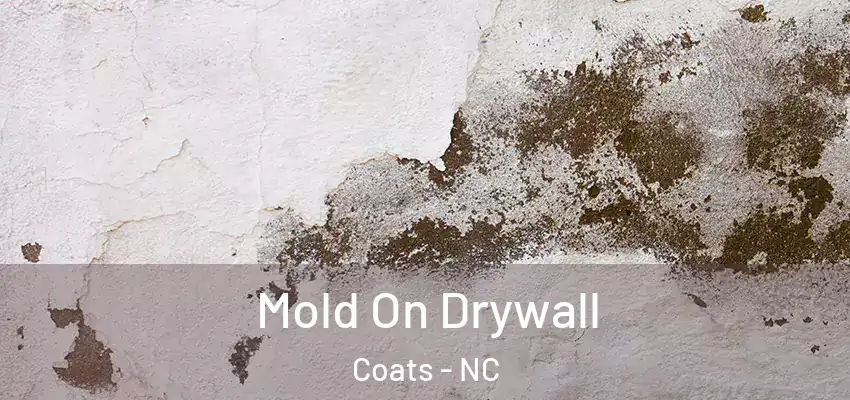  Mold On Drywall Coats - NC