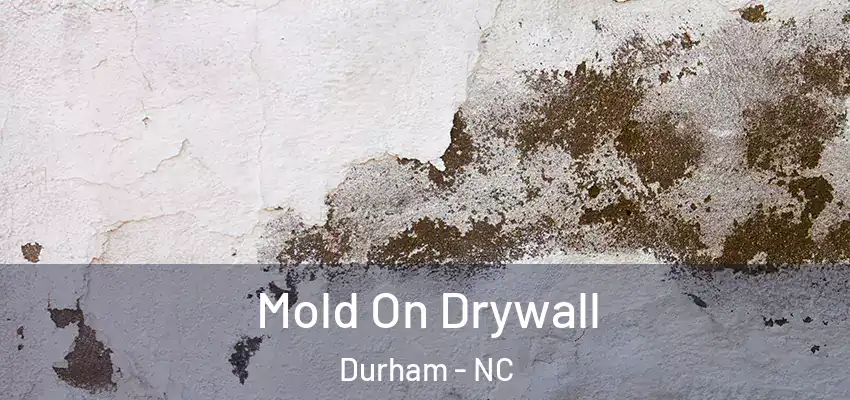  Mold On Drywall Durham - NC